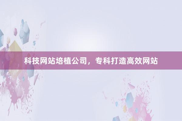 科技网站培植公司,专科打造高效网站