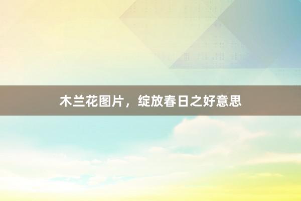 木兰花图片，绽放春日之好意思