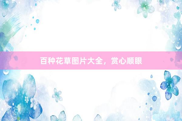 百种花草图片大全，赏心顺眼